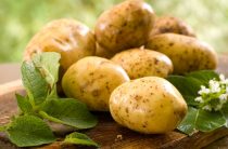 Как посадить ранний картофель?