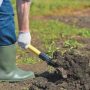Почва для посадки огурцов в открытом грунте. Как подготовить её для посадки?
